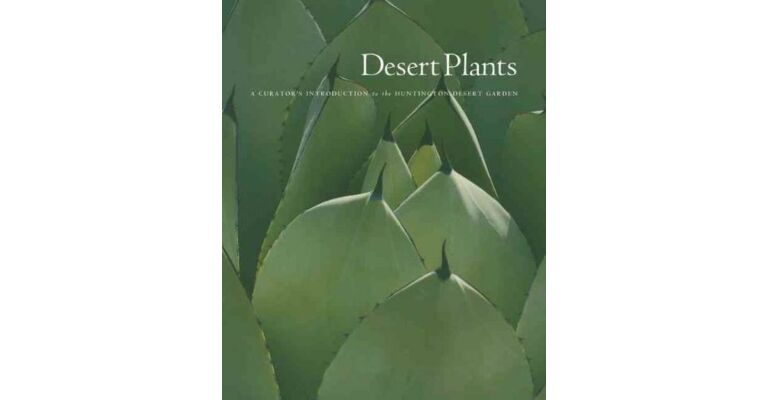 Desert Plants at the Huntington Botanical Gardens