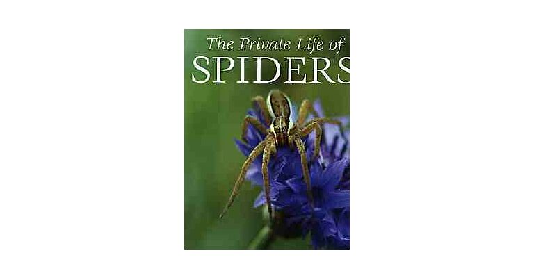 The Private Life of Spiders