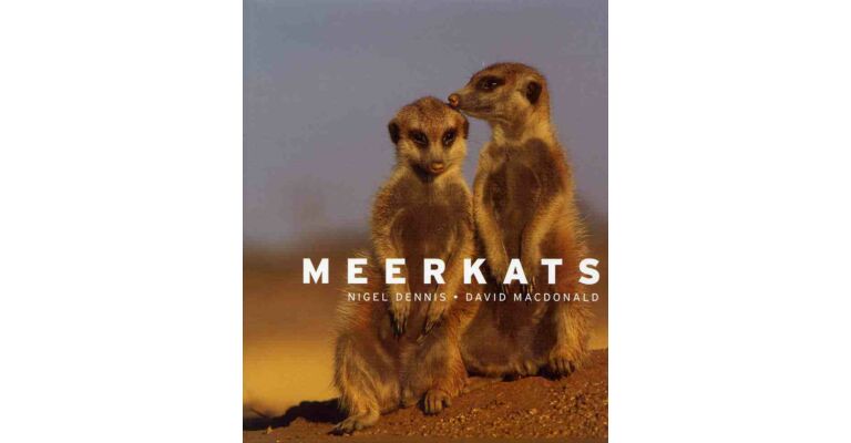 Meerkats