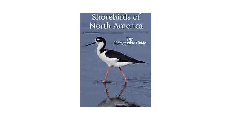 Shorebirds of North America