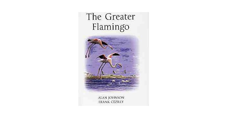 The Greater Flamingo