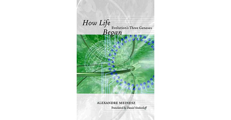 How Life Began