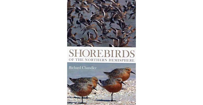 Shorebirds of the Northern Hemisphere