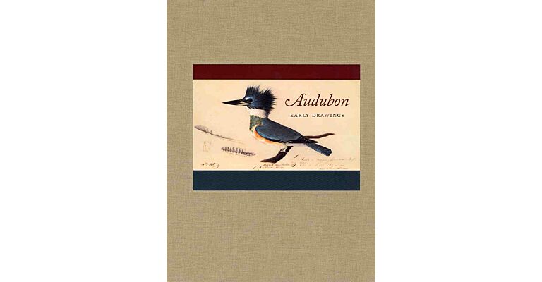 Audubon : Early Drawings