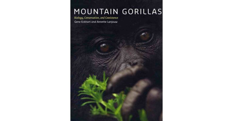 Mountain Gorillas - Biology, Conservation, and Coexistence