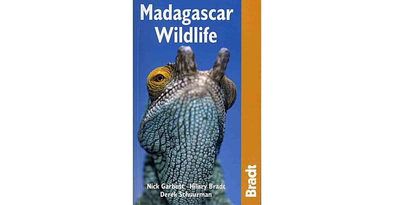 Madagascar Wildlife