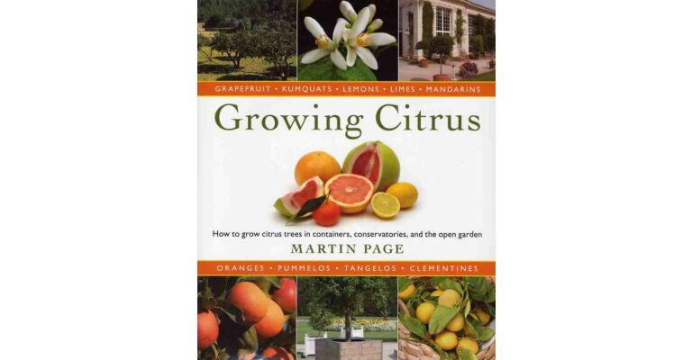 Growing Citrus