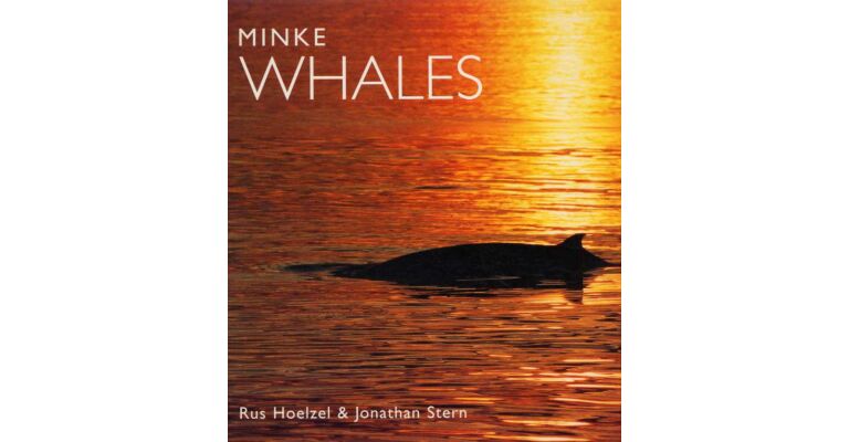 Minke Whales