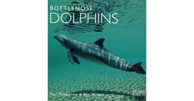 Bottlenose Dolphins