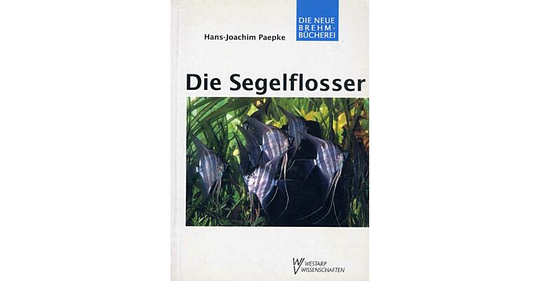 Die Segelflosser : Gattung Pterophyllum