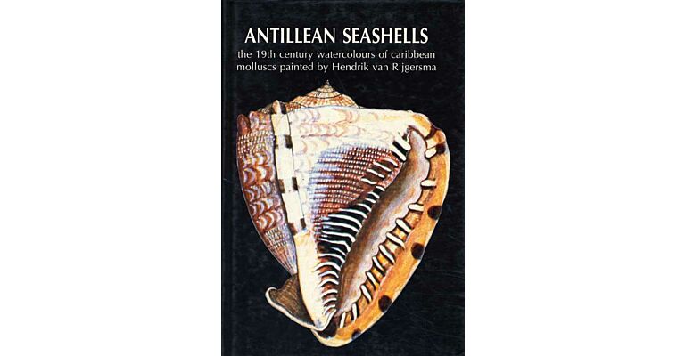 Antillean Seashells: the 19th Century Watercolours of Caribbean Molluscs painted by