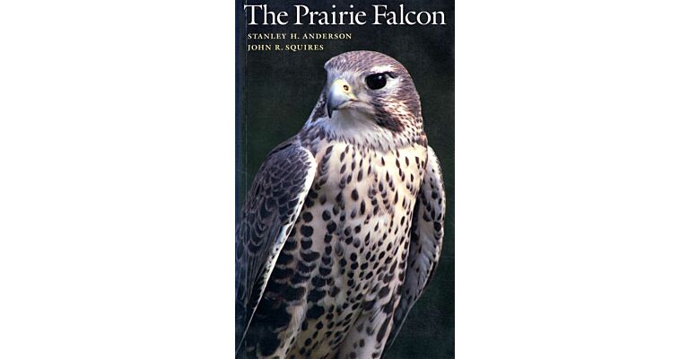 The Prairie Falcon