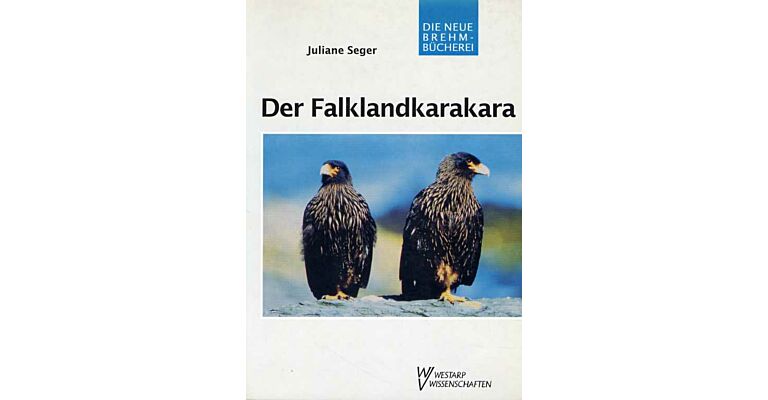 Die Falklandkarakara (Phalcoboenis australis)