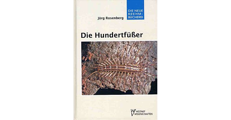 Hundertfüsser - Chilopoda