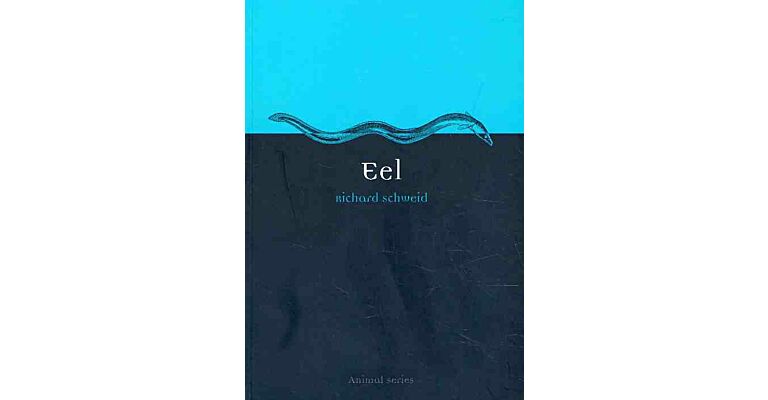 Eel