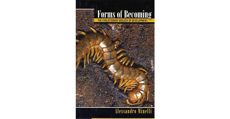 Forms of Becoming
