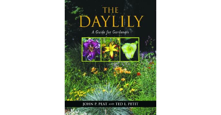 The Daylily a guide for gardeners