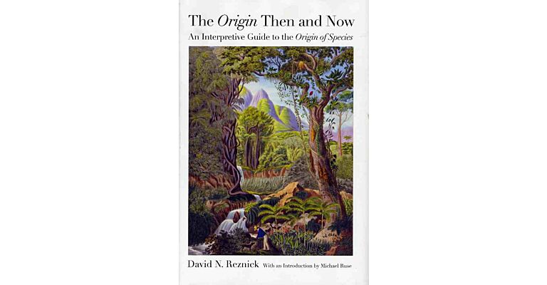 The Origin then and now