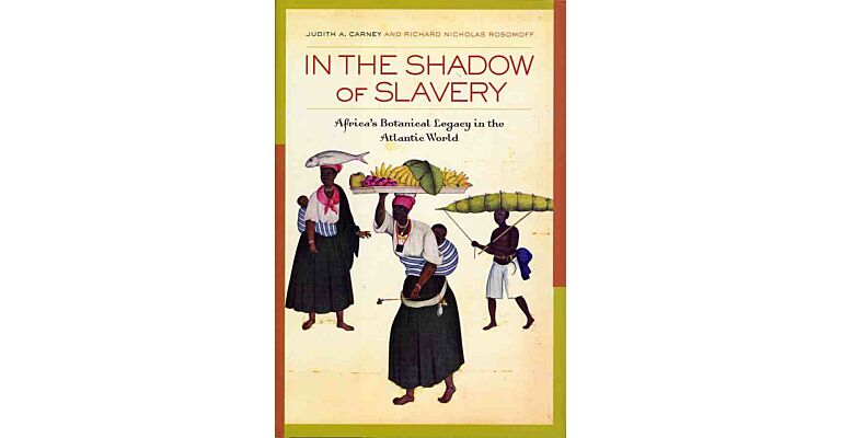 In the shadow of slavery