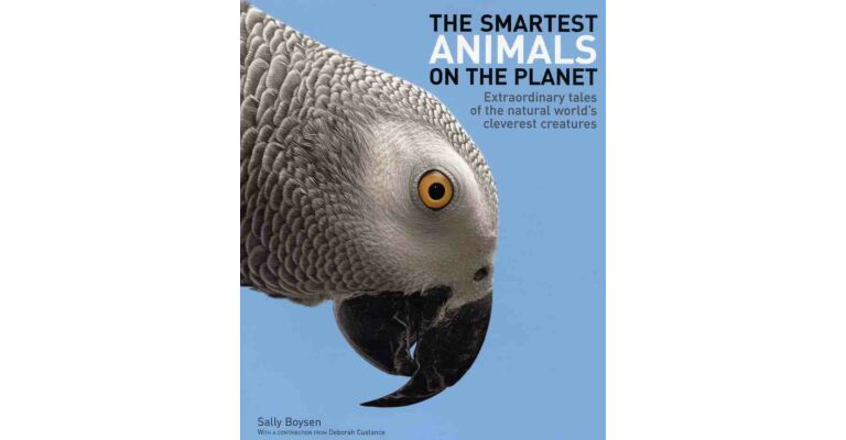 The smartest animals on the planet - Extraordinary Tales of the Natural World's Cleverest Creatures