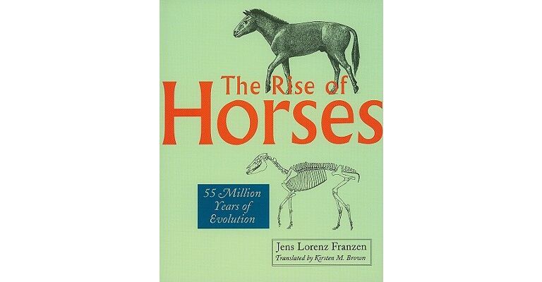 The rise of horses