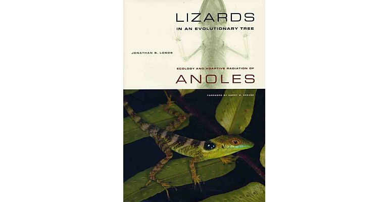 Lizards in an Evolutionary Tree