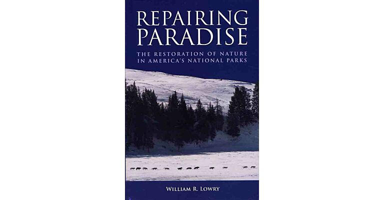 Repairing Paradise