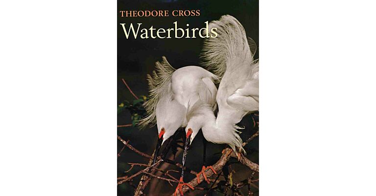 Waterbirds