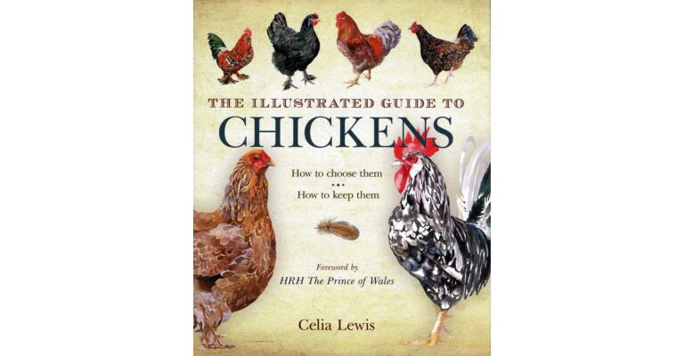 The illustrated Guide to Chickens