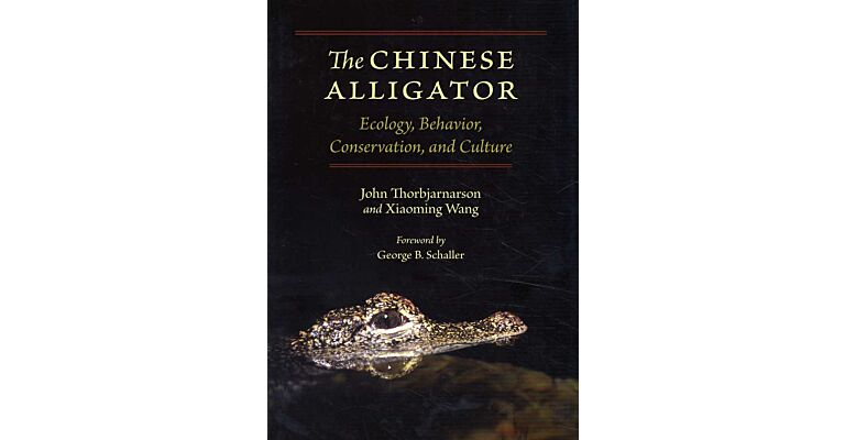 The Chinese Alligator