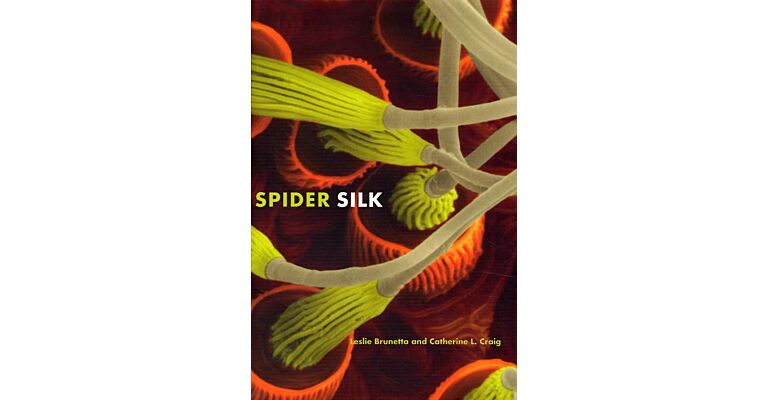 Spider Silk