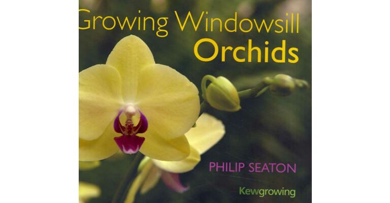 Growing Windowsill Orchids