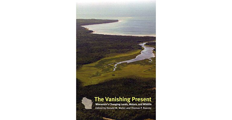 The Vanishing Present