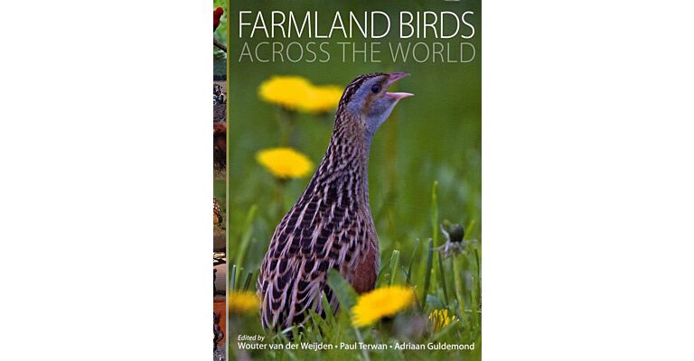 Farmland Birds across the world
