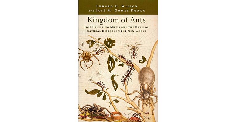 Kingdom of Ants