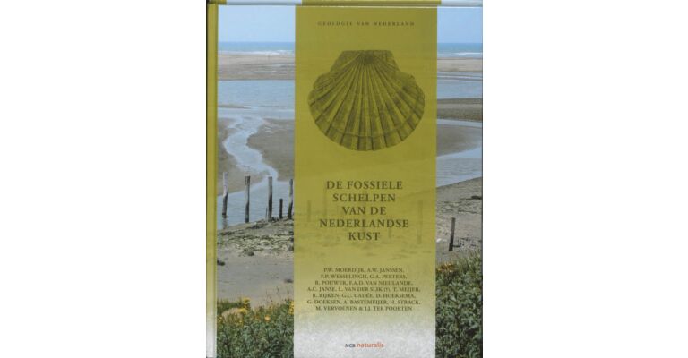 De fossiele schelpen van de Nederlandse kust