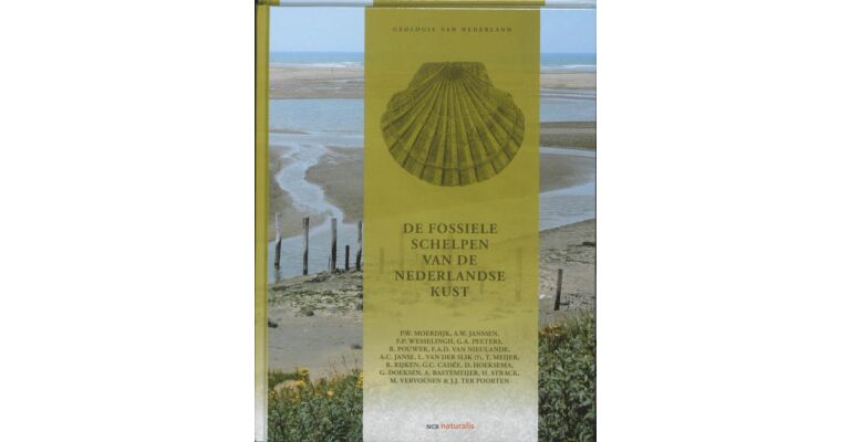 De fossiele schelpen van de Nederlandse kust