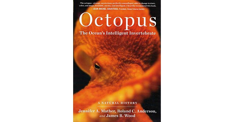 Octopus - The ocean's intelligent invertebrate