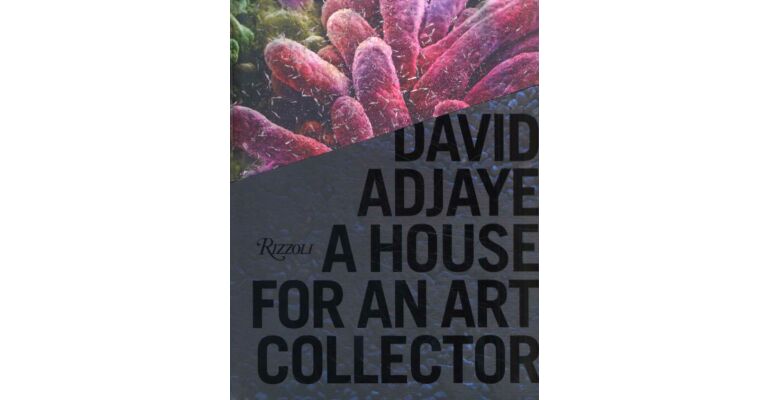 David Adjaye - A House for an Art Collector