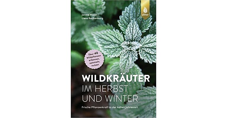 Wildkräuter - Im Herbst und Winter