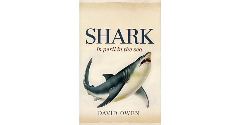 Shark. In Peril in the Sea