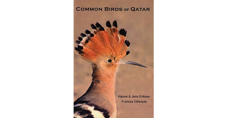 Common birds of Qatar