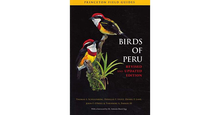 Princeton Field Guides - Birds of Peru (updated)