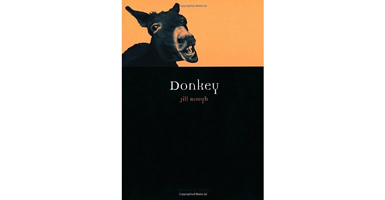 Donkey