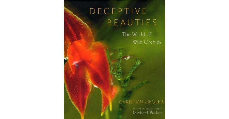 Deceptive Beauties - The World of Wild Orchids