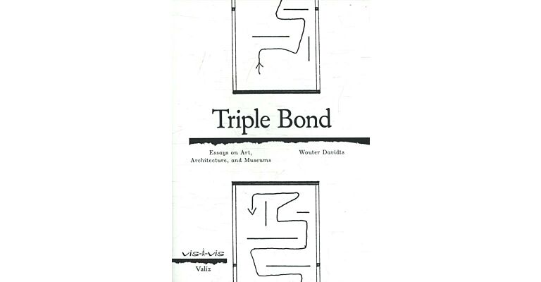 Triple Bond - Essays on Art, Architecture and the Museum