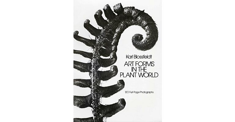 Art Forms in the Plant World - Karl Blossfeldt