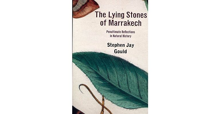 The Lying Stones of Marrakech - Penultimate Reflections in Natural History