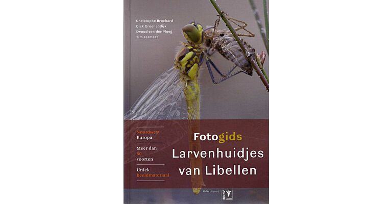 Fotogids Libellenlarvenhuidjes