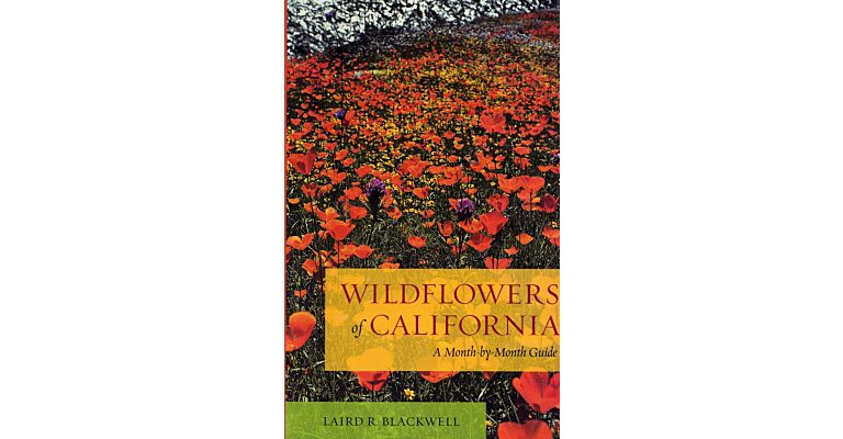 Wildflowers of California